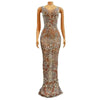 Glitter Cocktail Maxi Dress